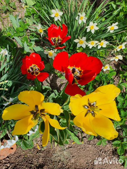 Samsung Galaxy S5 SM-G900F, 2/32 ГБ