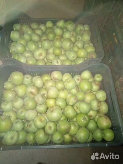 Яблоки