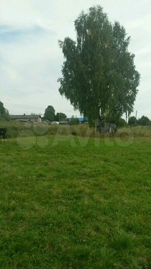 Участок 16 сот. (ИЖС)