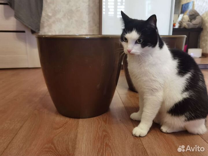 Горшок для комнатных растений 15.5см диаметр, 21л