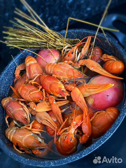 Раки актуальный прайс