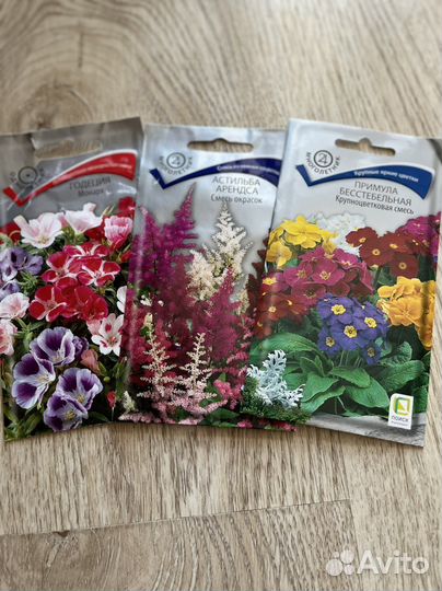 Астры, бархатцы