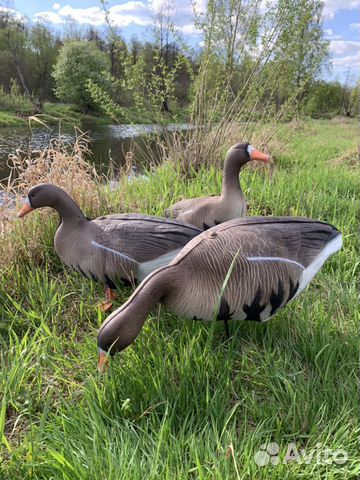 Чучела белолобого гуся North Way Антиблик