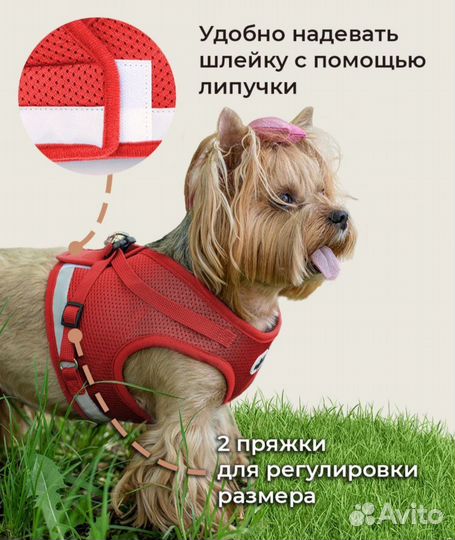 Шлейка для собак и кошек анатомическая