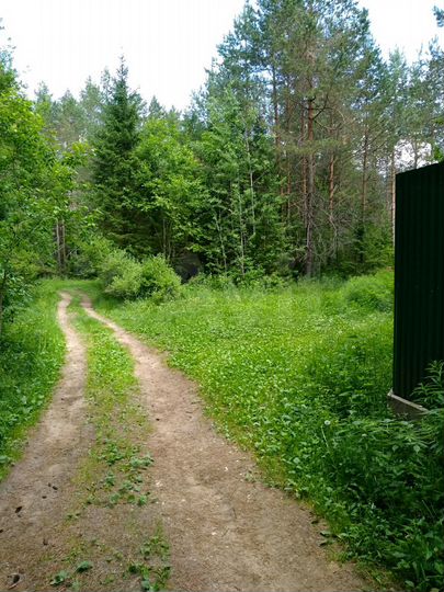 Участок 9 сот. (ИЖС)