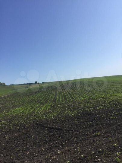 Участок 700 га (СНТ, ДНП)