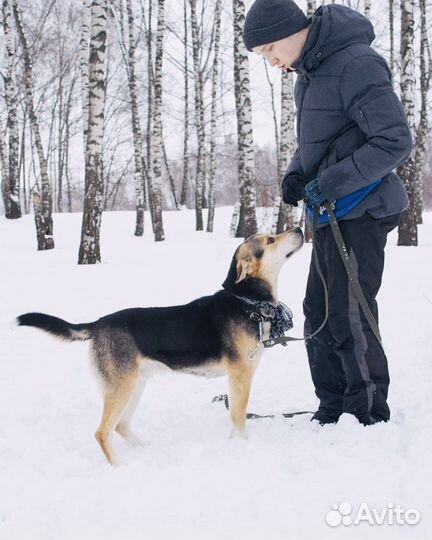 Патрик хочет домой