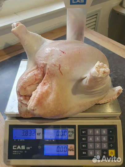 Мясо бройлера