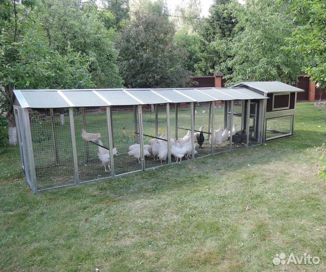 Выгул для птиц к курятнику мечта