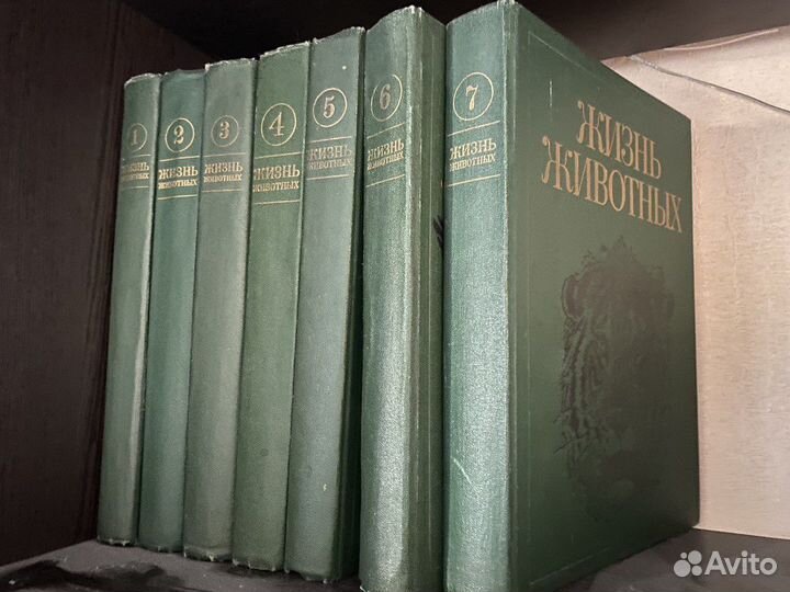 Детские игрушки и книги