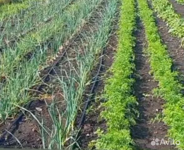 Капельный полив по датчикам влажности