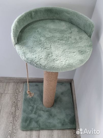 Когтеточка