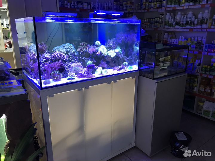 Морской аквариум 300 литров