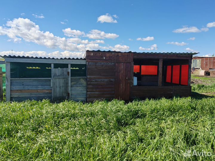 Вольер для собак для птицы