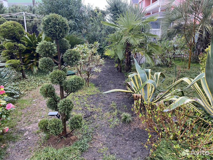 Чернозем перегной доставка мешки самосвал