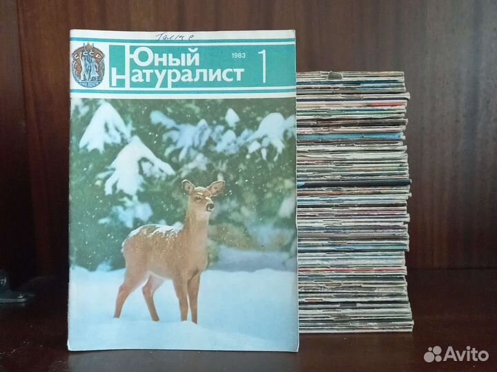 Журнал юный натуралист