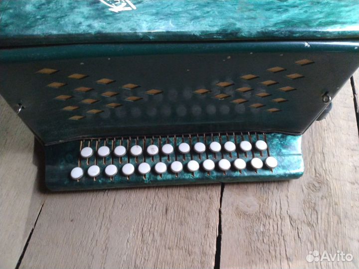 Гармонь кубань