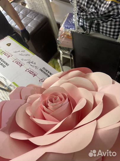 Ростовые цветы 150см