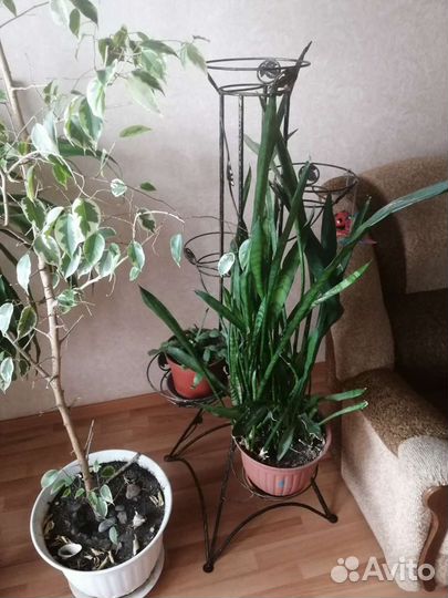 Подставка для цветов напольная металлическая