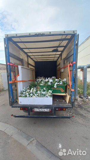 Газельв Грузоперевозки Переезды Грузчики