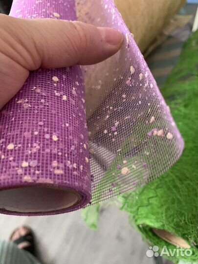 Флористика