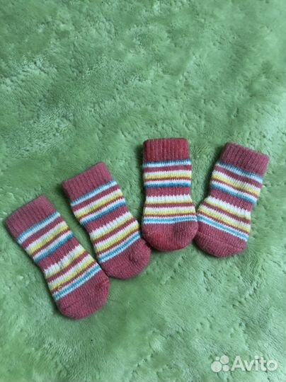 Одежда для собак