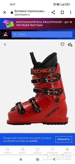 Горнолыжные ботинки. Technica