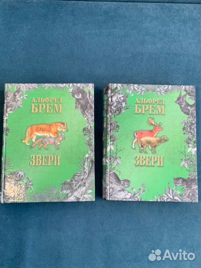 Энциклопедияо животных Звери Альфред Брем