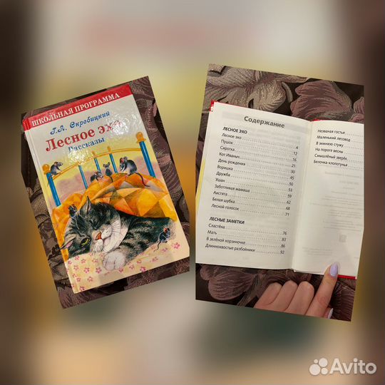 Книги для младших школьников