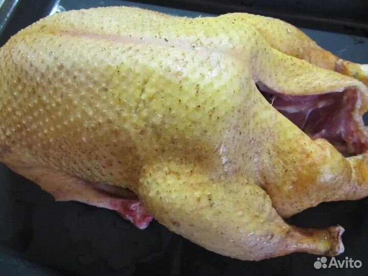 Мясо утки Стар-53