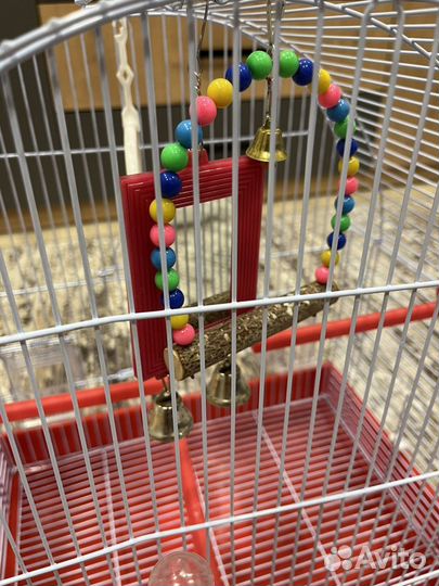 Клетка для попугая