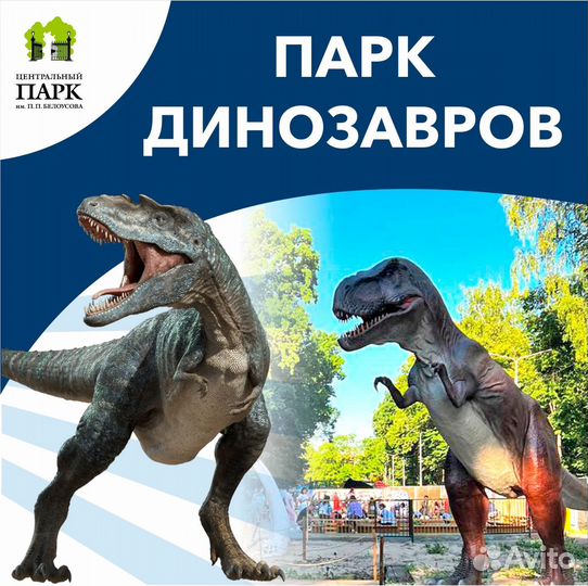Оператор аттракционов