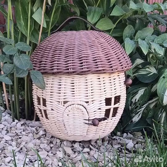 Интерьерный гриб