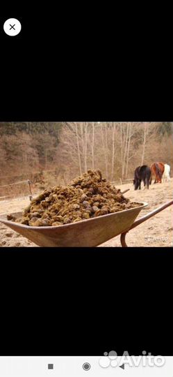 Перегной и навоз в мешках