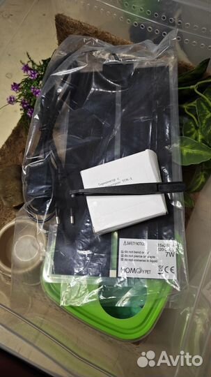 Эублефар с набором