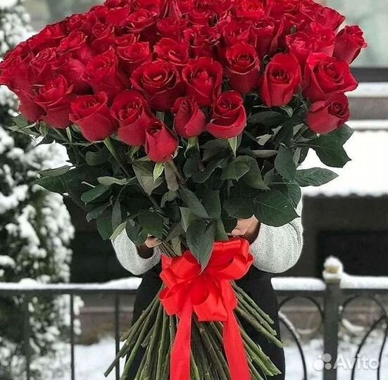 51 Роза, Букеты Цветы Розы 25 101 501 1001