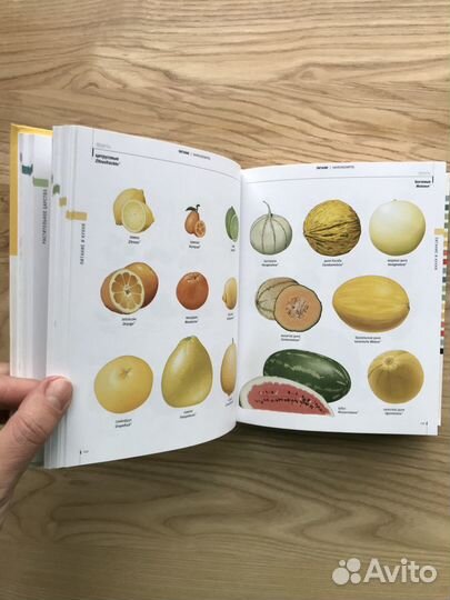 Русско-немецкий визуальный словарь