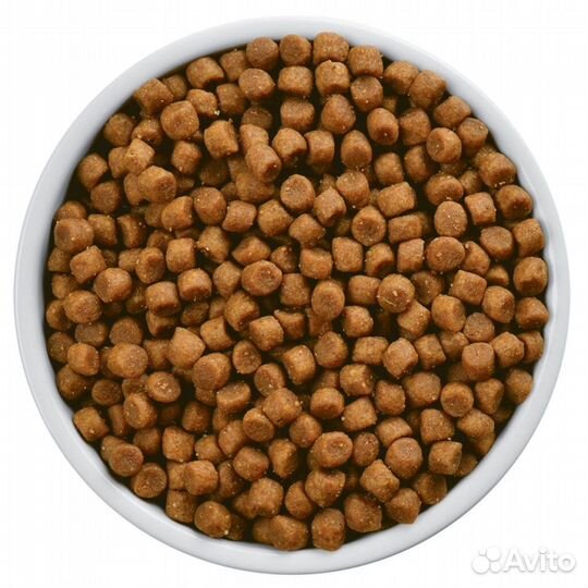 Корм для собак мелких пород