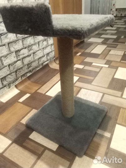 Когтеточка