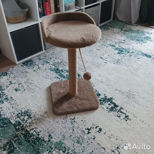 Когтеточка