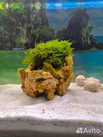 Стильный дизайнерский камень для аквариума
