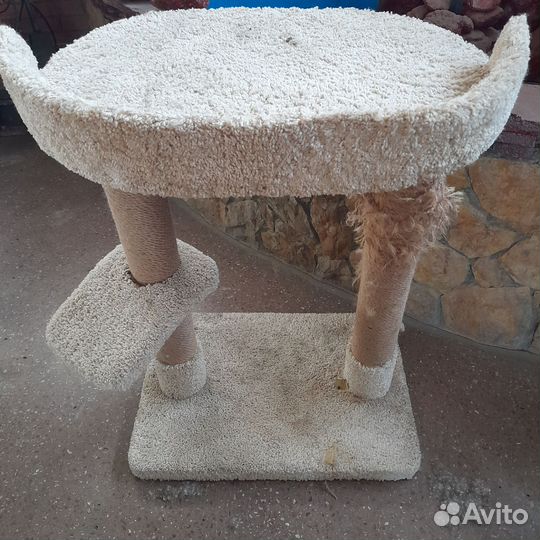 Когтеточка