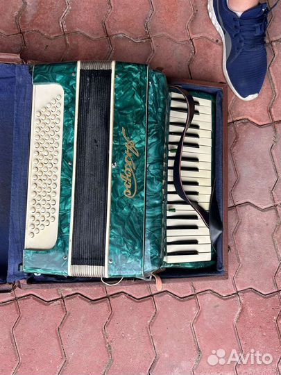 Аккордеон 