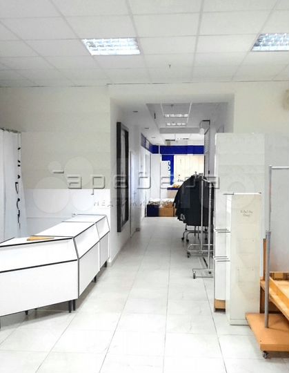 Торговая площадь, 272.1 м²