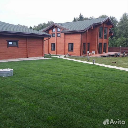 Укладка и продажа рулонного газона