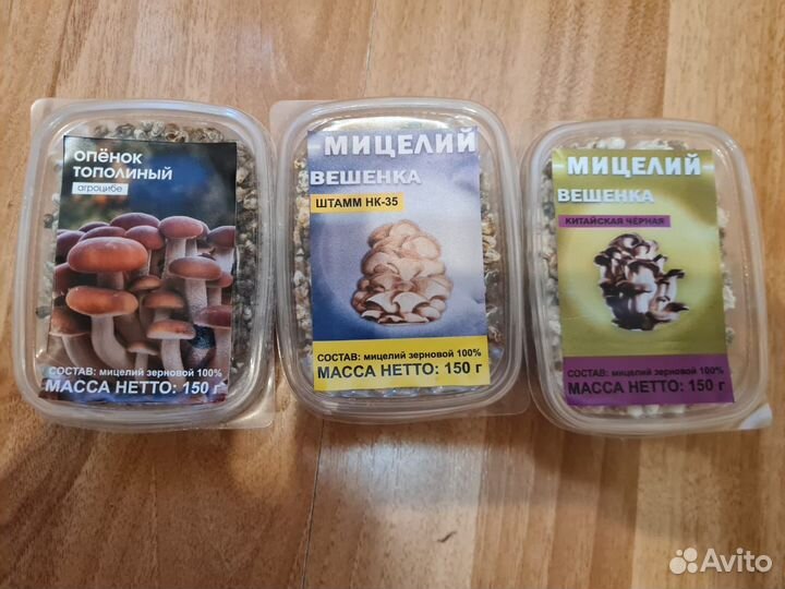 Грибы Мицелий зерновой