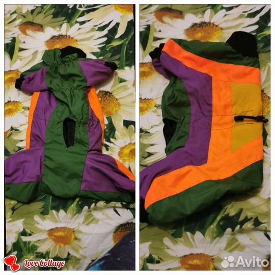 Одежда для маленьких собак