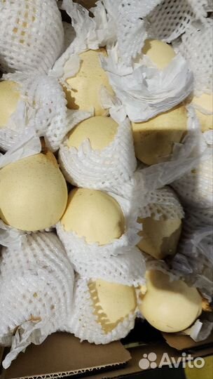 Груши сладкие сочные из Китая