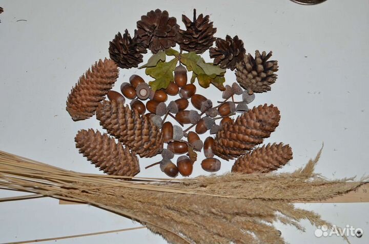 Набор из шишек, желудей для декора, поделок