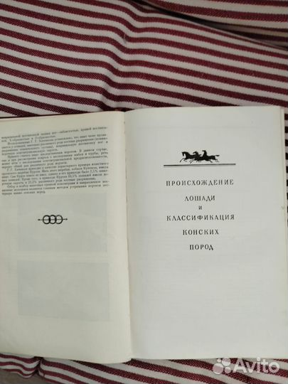 Книги о лошадях